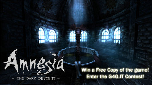 Amnesia Contest the winners!