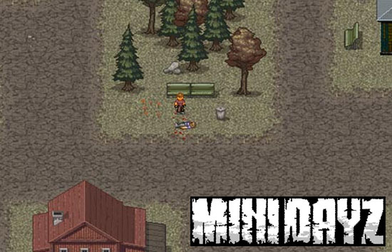 MiniDayZ